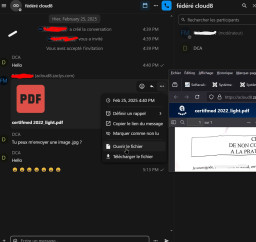 2025-02-26 16_29_41-fédéré cloud8 - Nextcloud Talk.jpg