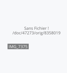 Sans fichier.png