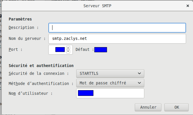 parametres-serveur-smtp_infos-masquees.png