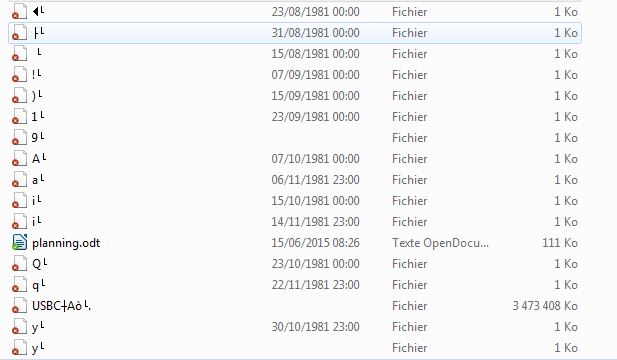 Copie d'écran des fichiers "bizarres" apparus sur le disque local.