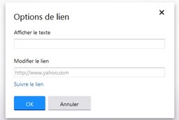 option de lien.jpg